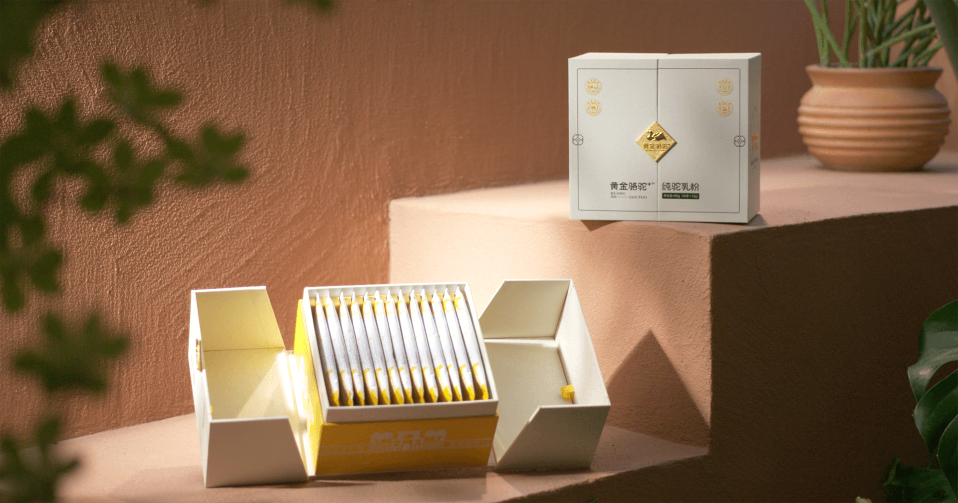 定位小众高端乳粉，怡亚通推出驼奶品牌“黄金骆驼+”，角逐乳品新市场！